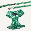 D&S Lahana Cat Harness & Lead