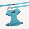 D&S Grooving Cat Harness & Lead