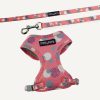 D&S Fabulous Cat Harness & Lead