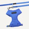 D&S Ziggy Cat Harness & Lead