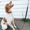 D&S Crossways Dog Lead - Image 5