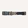 D&S Wild One Dog Collar