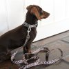 D&S Wild One Dog Collar - Image 2