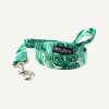 D&S Lahana Dog Lead
