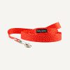 D&S Raining Hearts Dog Lead
