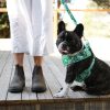 D&S Lahana Dog Harness - Image 2