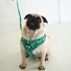 D&S Lahana Dog Harness - Image 8