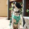 D&S Lahana Dog Harness - Image 5