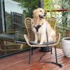 D&S Crossways Dog Harness - Image 4
