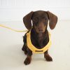 D&S Wild Sunflower Dog Harness - Image 5