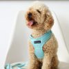 D&S Grooving Dog Harness - Image 2