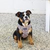 D&S Wild One Dog Harness - Image 2