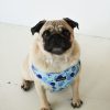 D&S Dazzling Dots Dog Harness - Image 2
