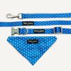 D&S Adventurer Dog Bandana Set