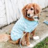 D&S Chamomile Jumper