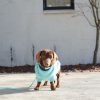 D&S Chamomile Jumper - Image 3