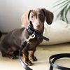 D&S Black Vegan Leather Dog Lead - Image 3