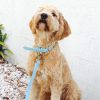 D&S Blue Vegan Leather Dog Lead - Image 2