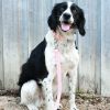 D&S Blush Vegan Leather Dog Lead - Image 2