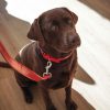 D&S Red Vegan Leather Dog Lead - Image 2