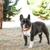 D&S Tan Vegan Leather Dog Lead - Image 4
