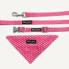 D&S Pink Mania Dog Bandana Set