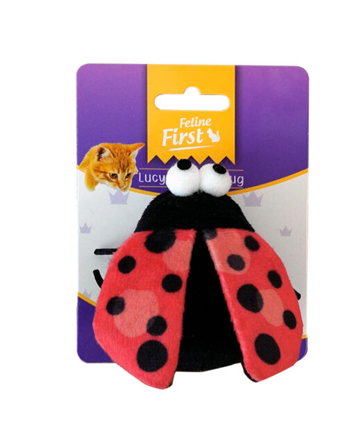 Feline First Lucy the Ladybug (6)